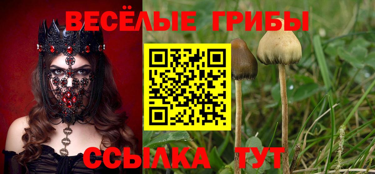 Псилоцибиновые грибы ЛСД Калуга