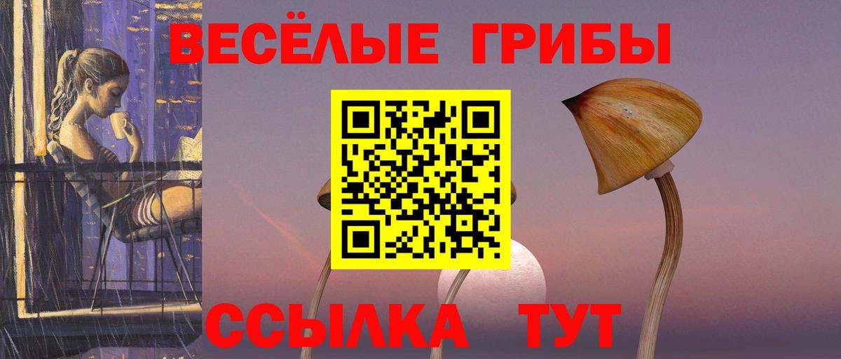 Галлюциногенные грибы Psilocybine cubensis  где можно купить   Калуга  Вход с VPN 